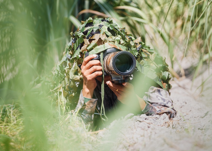 a person capturing a wildlife photography
