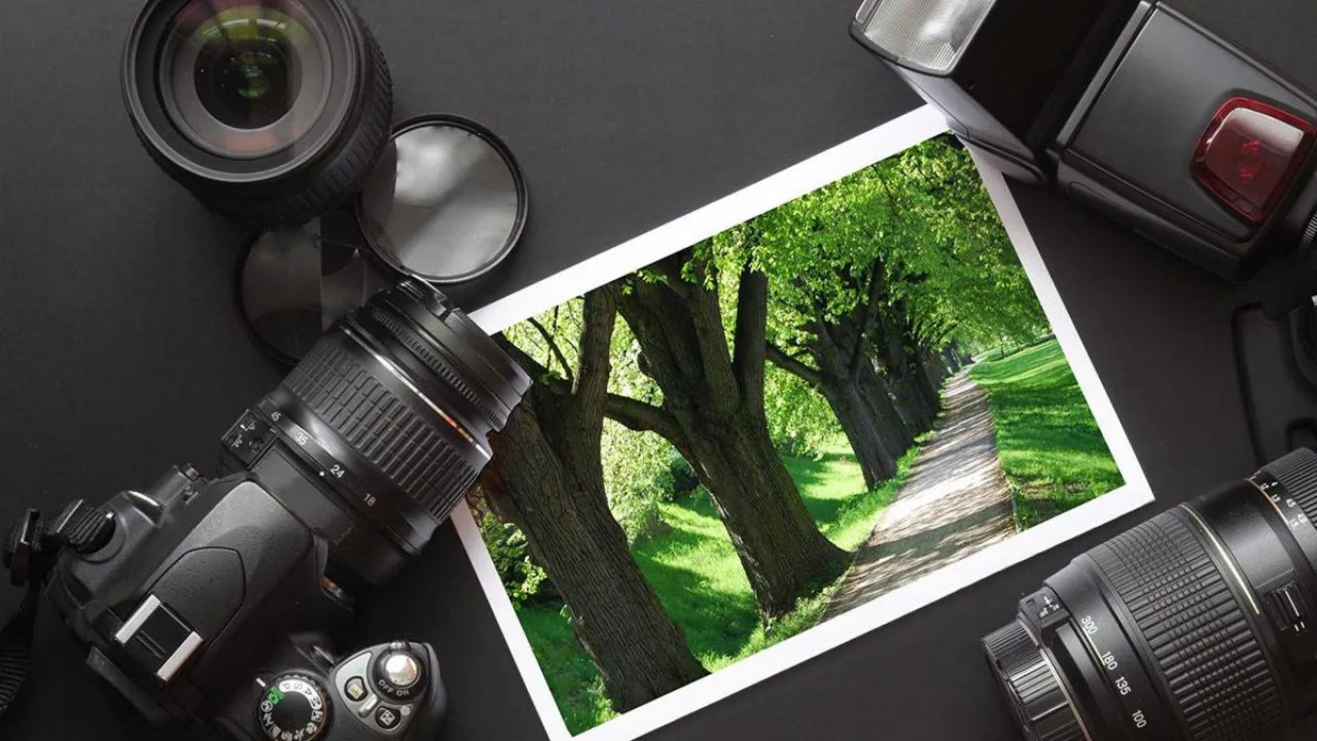 an image showing cameras and a picture of trees