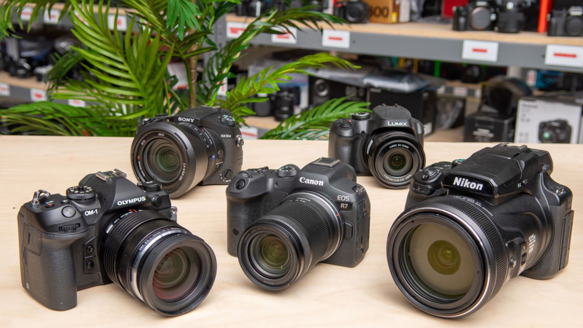 The Best Cameras for Photography